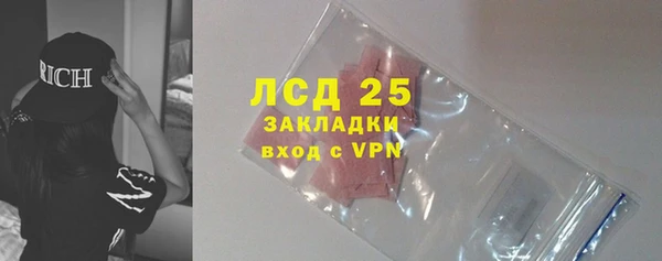 трава Аркадак