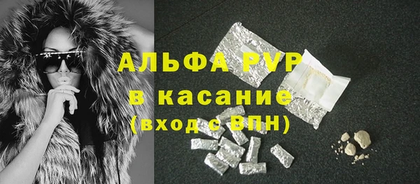 эйфоретик Арсеньев