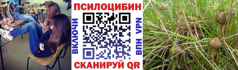 Галлюциногенные грибы Magic Shrooms  Боровск 